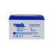 Trinix 12V100Ah/20Hr AGM Акумуляторна батарея 12В 100Аг свинцево-кислотна (44-00047) 44-00047 фото 3